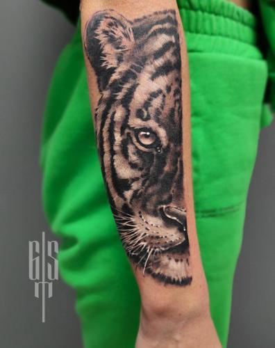 Tiger (sleeve in process)